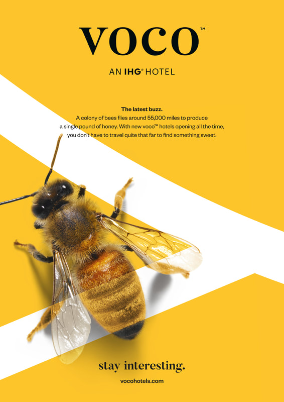 voco — bee, The latest buzz