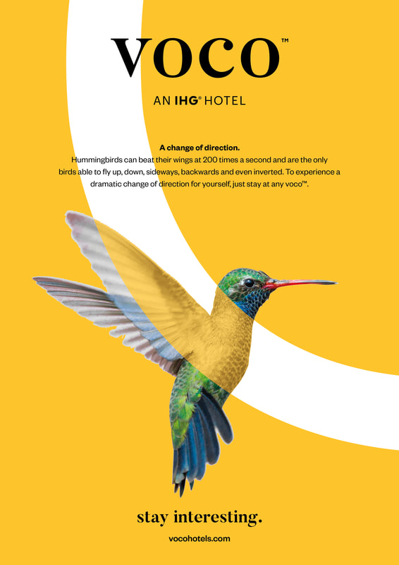 voco — hummingbird, A change of direction